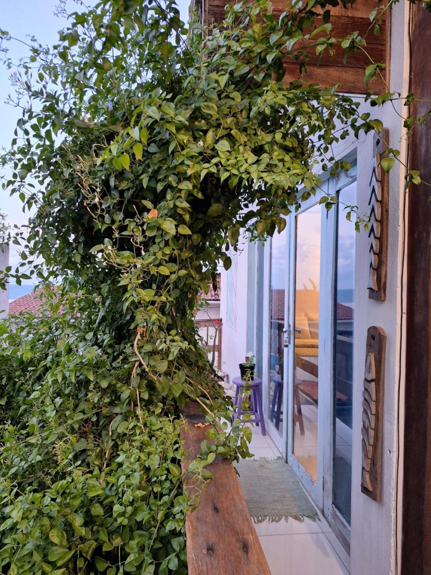 Buddha Suites Praia de Pipa Dış mekan fotoğraf